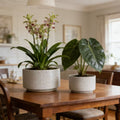 Handmade Ceramic Planter Set of 2