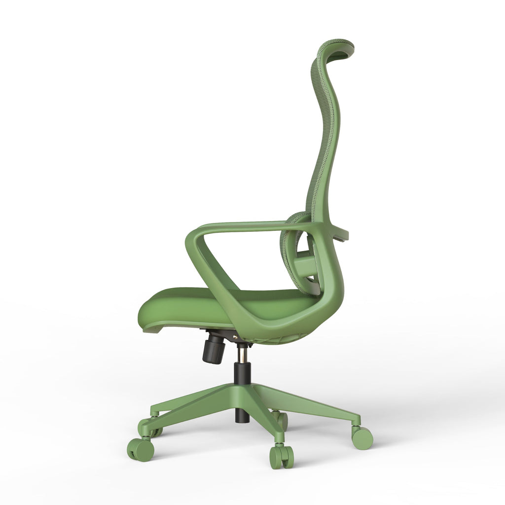 Ergonomic Colorful Office Chair