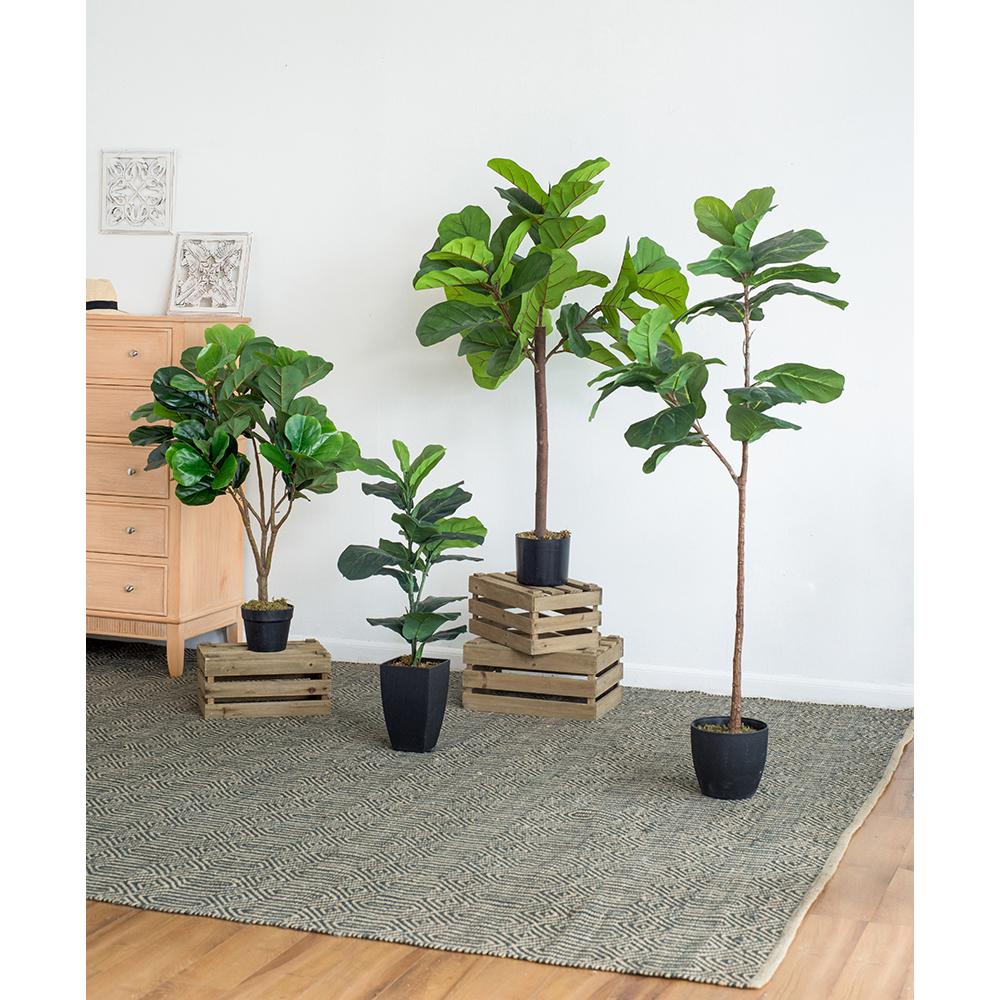 25x25x52"H Fiddle Fig Leaf Tree, 40 Leaves