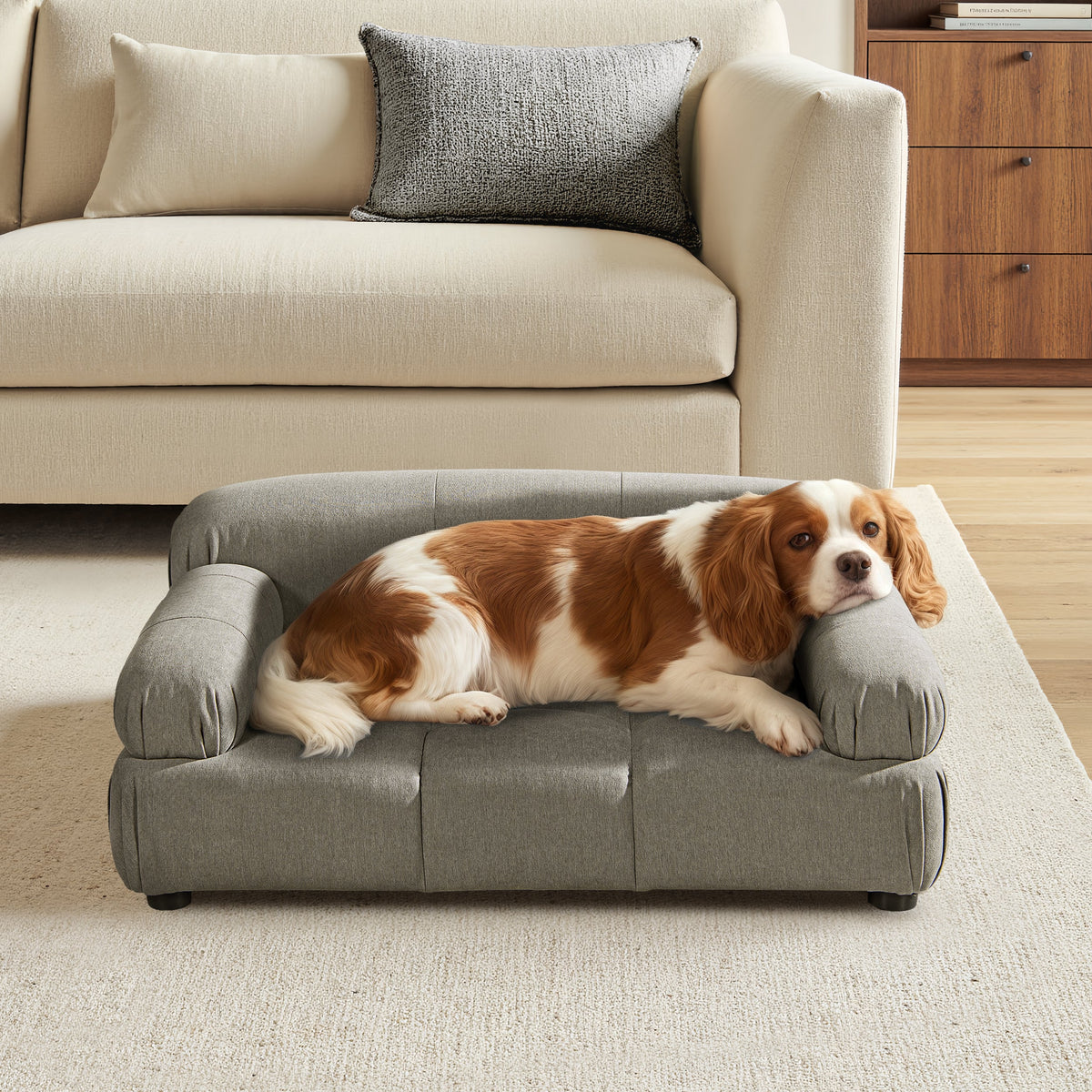 Marcel Upholstered Modern Pet Bed, Small to Medium Dog or Cat Uptown