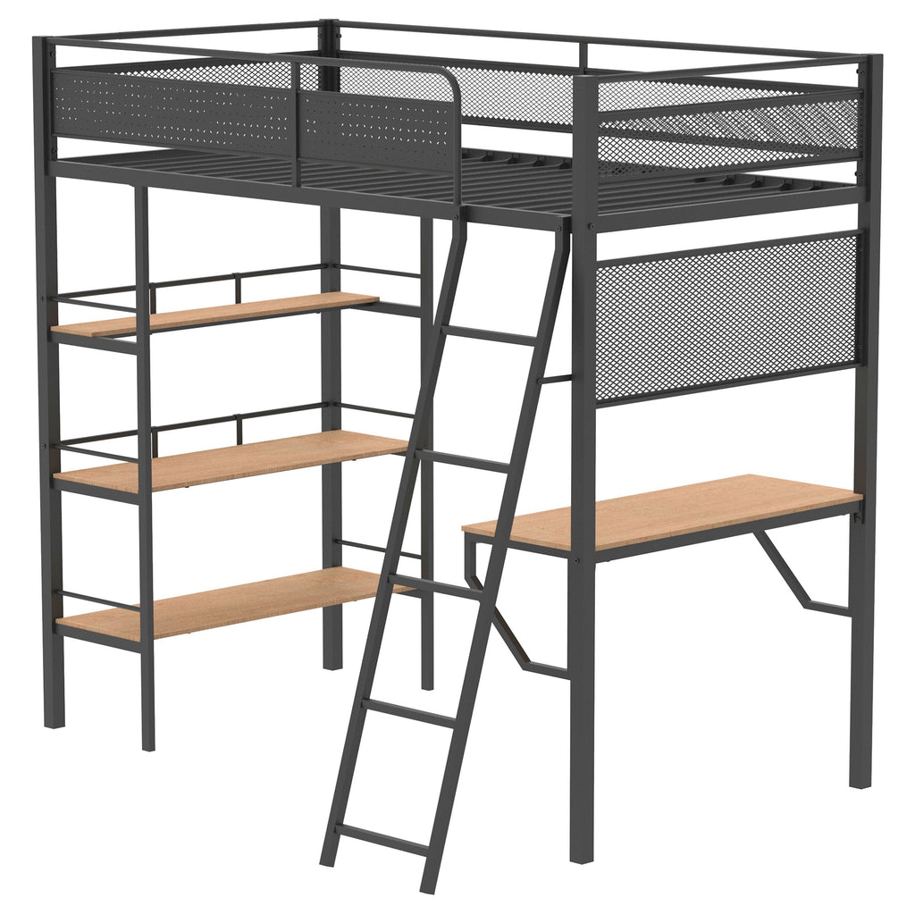 William Matte Twin Loft Bed