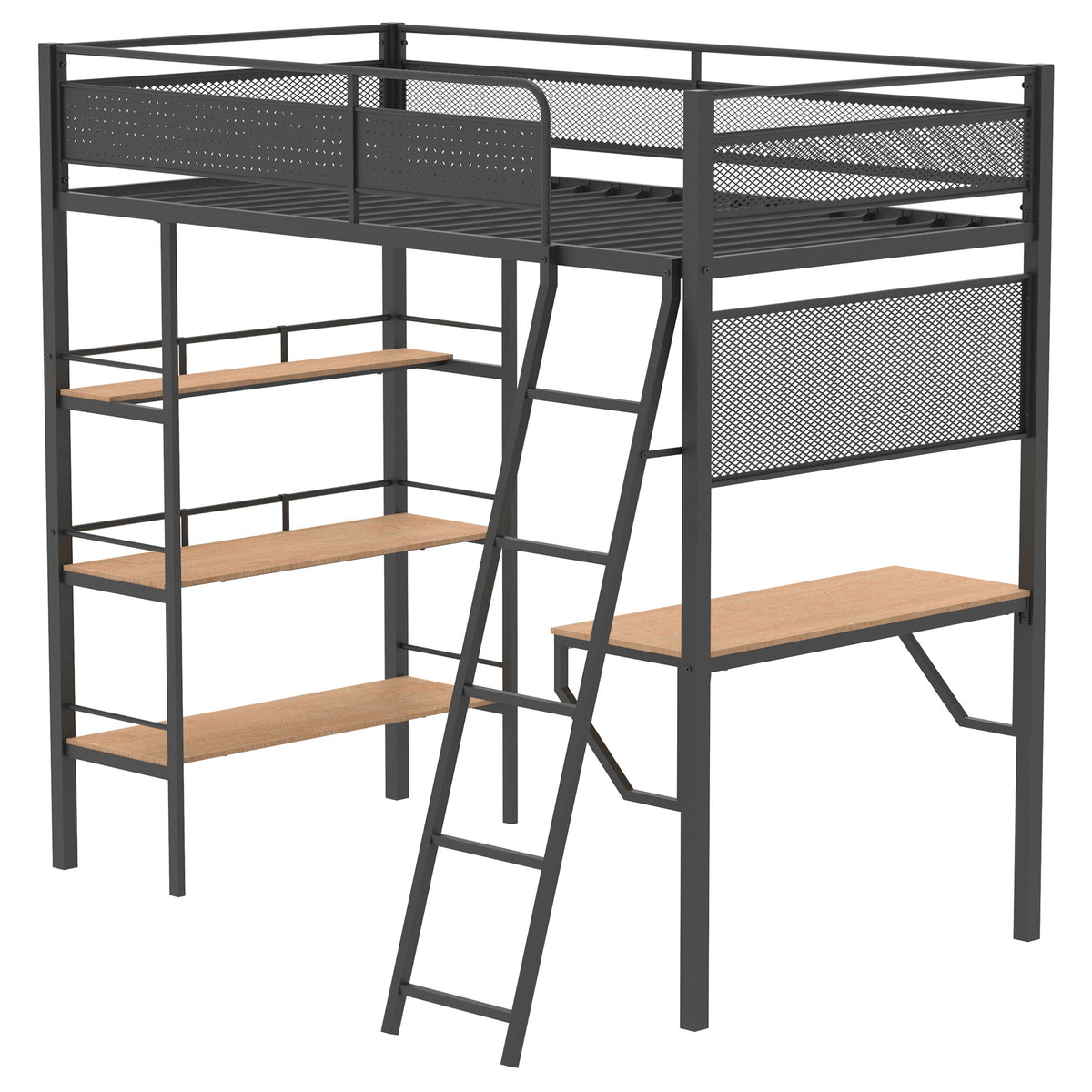 William Matte Twin Loft Bed