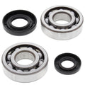 All Balls Racing 01-23 Yamaha YZ250 Crank Shaft Bearing Kit 24-1029