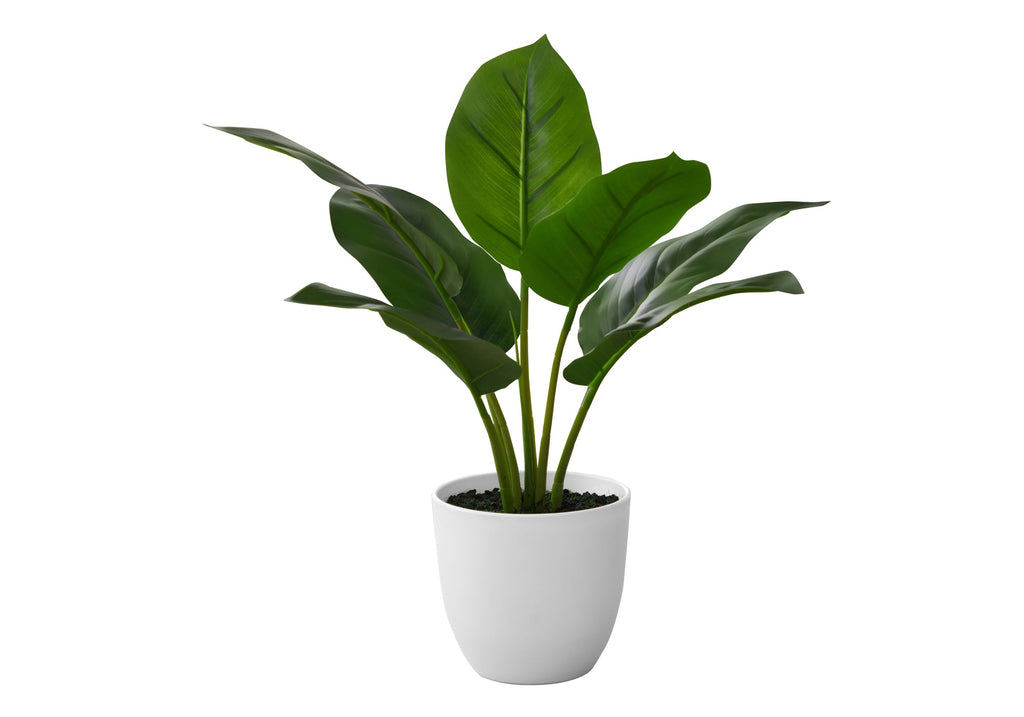 Artificial Plant - 17" Tall Aureum - Indoor Faux Greenery
