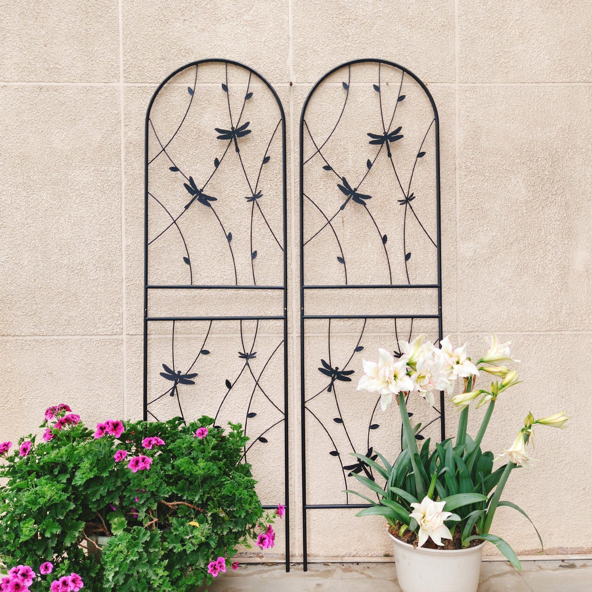 2 Pack Metal Garden Trellis - Rustproof Trellis for Climbing Plants