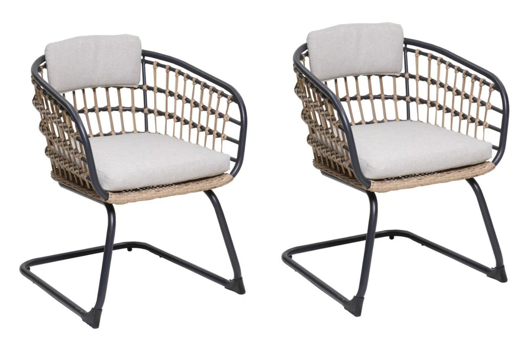 Wicker Dining Chair Set of 2