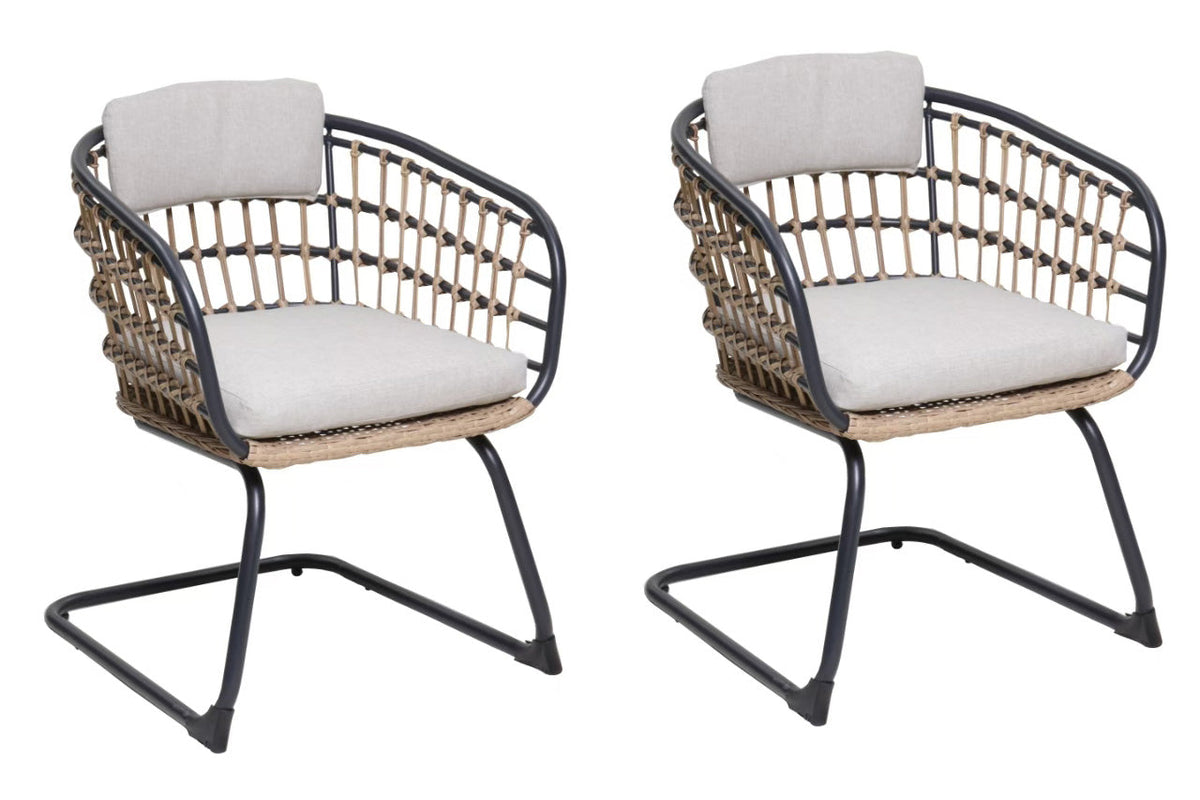 Wicker Dining Chair Set of 2