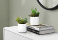 Artificial Succulent Plant Set of 2