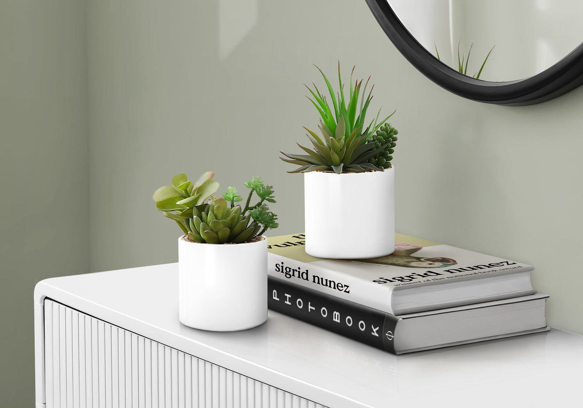 Artificial Succulent Plant Set of 2