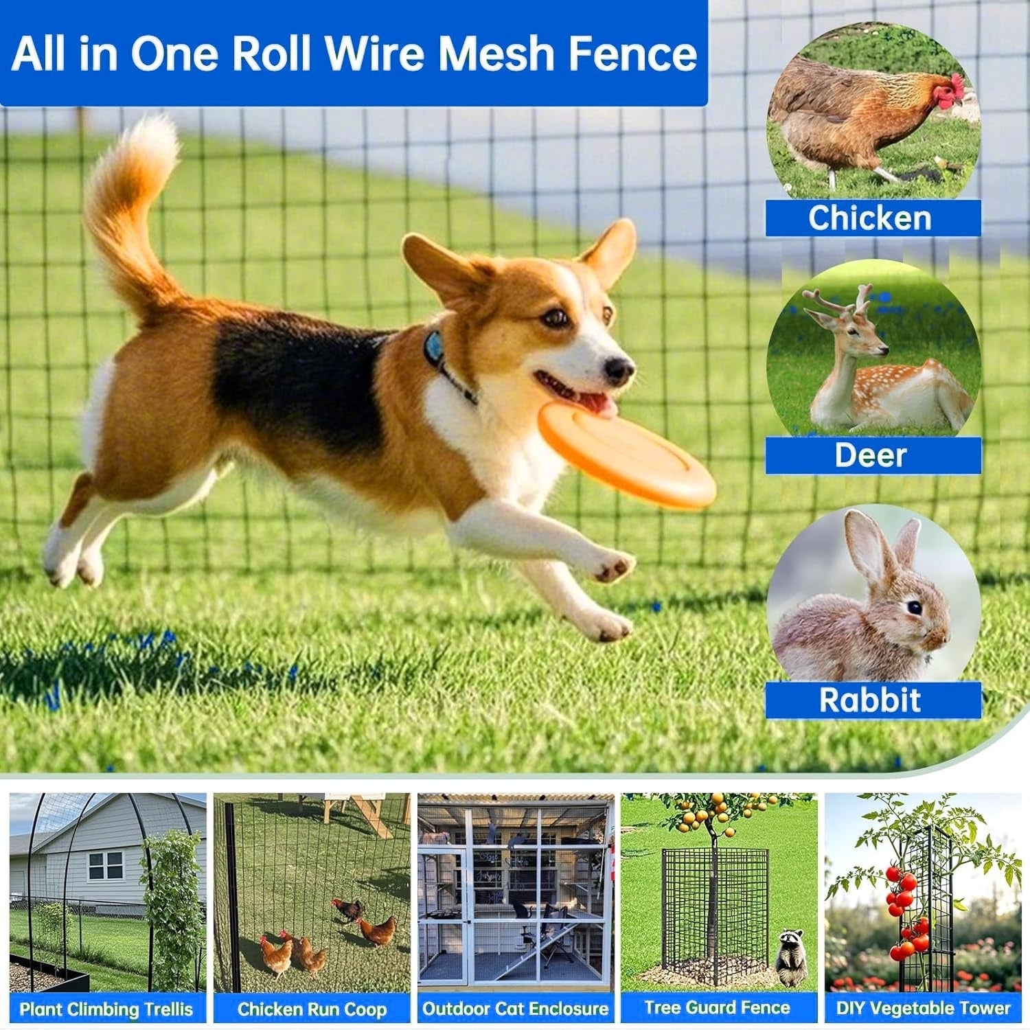 40 Inch × 50 Ft Wire Fencing