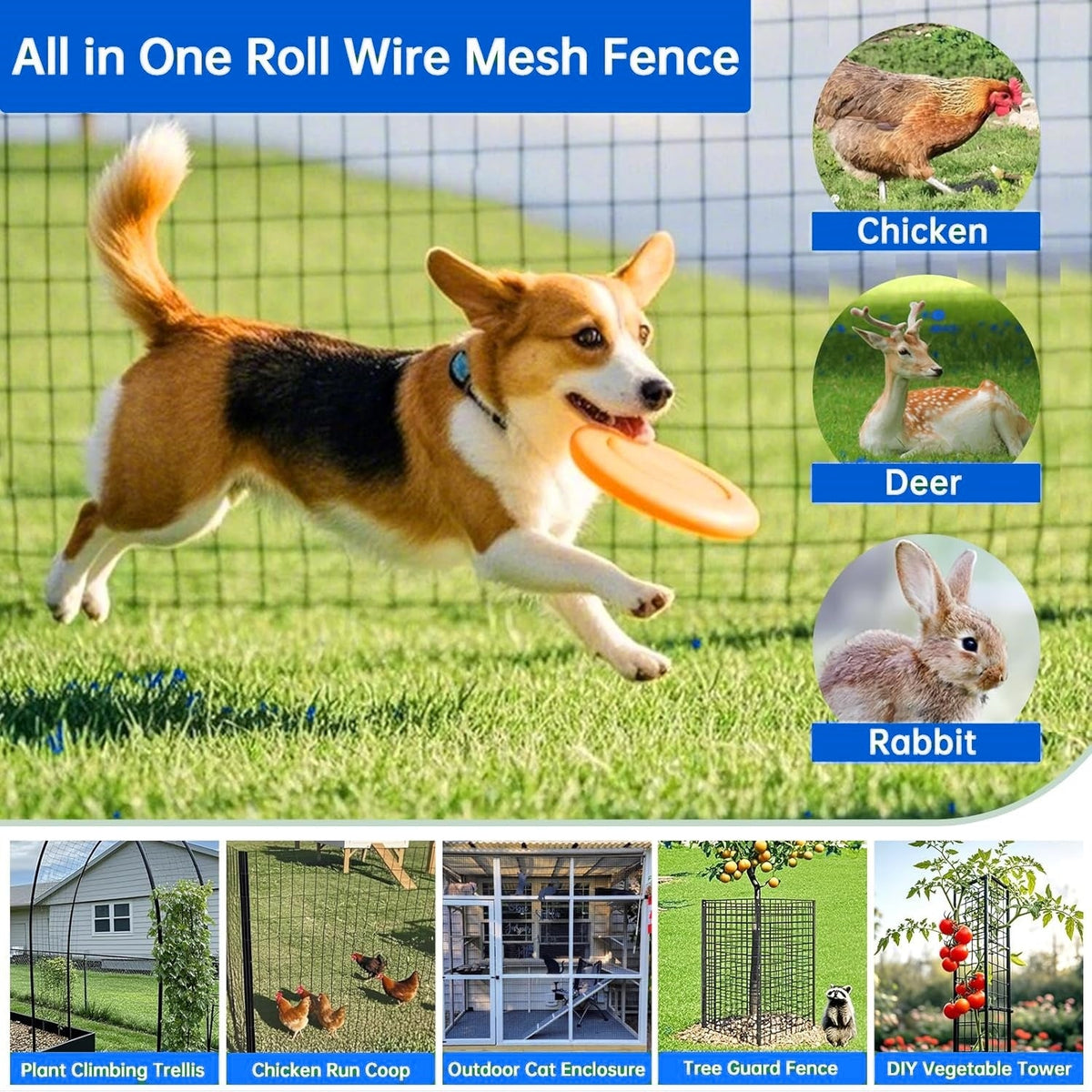 40 Inch × 99 Ft Wire Fencing