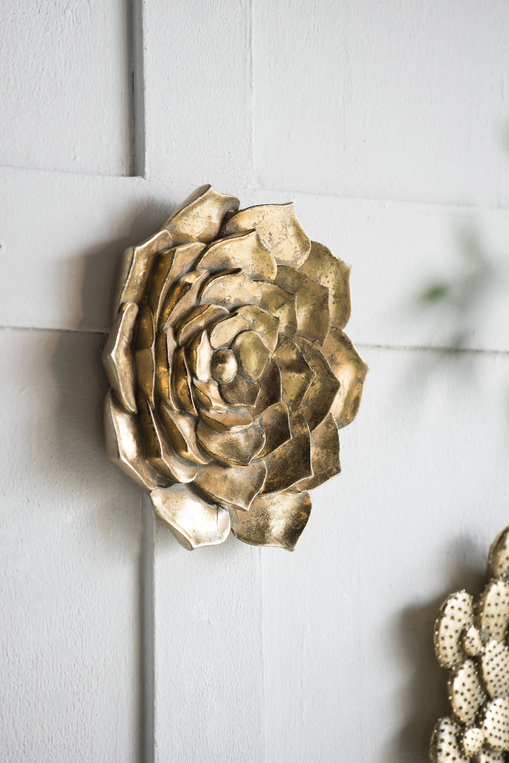 D10x1.4" Succulent Wall Plaque - 2 Piece
