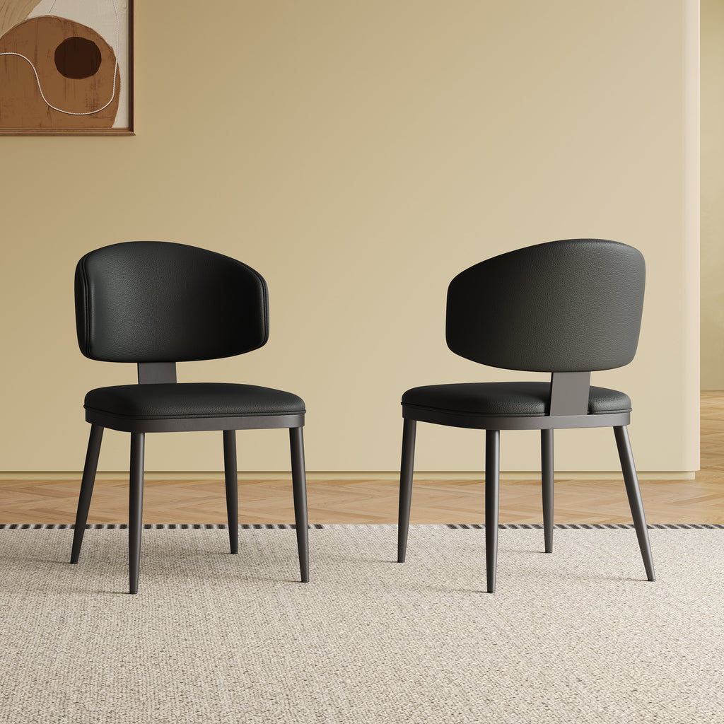 Dining Chairs Set of 2