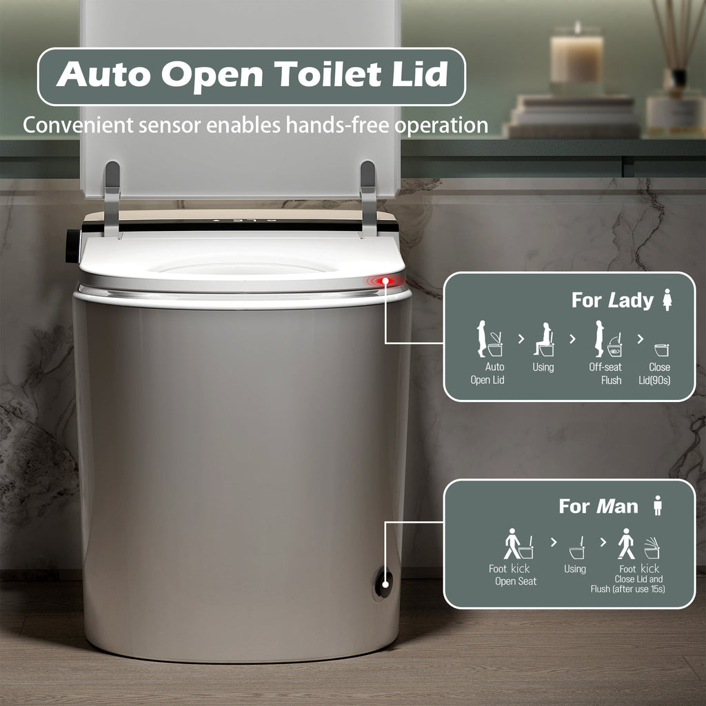 Smart Toilet With Bidet Built-In - White