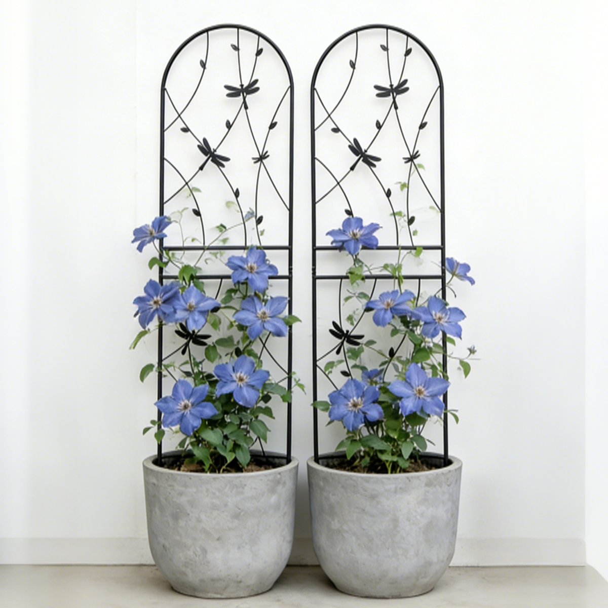 2 Pack Metal Garden Trellis - Rustproof Trellis for Climbing Plants