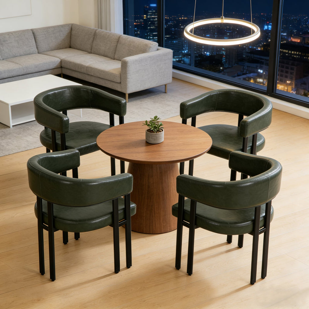 Modern Dining Chairs Set of 2