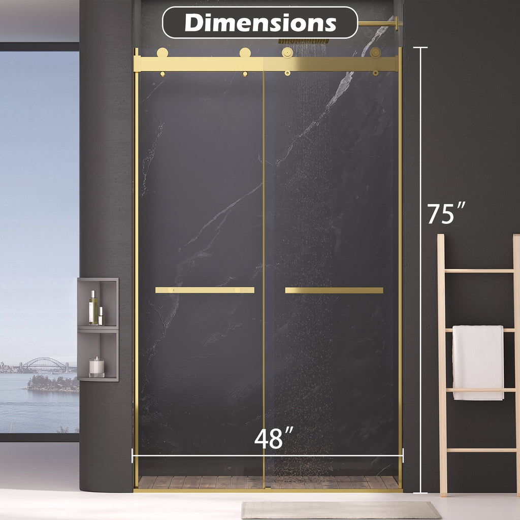 Frameless Dual Sliding Shower Door