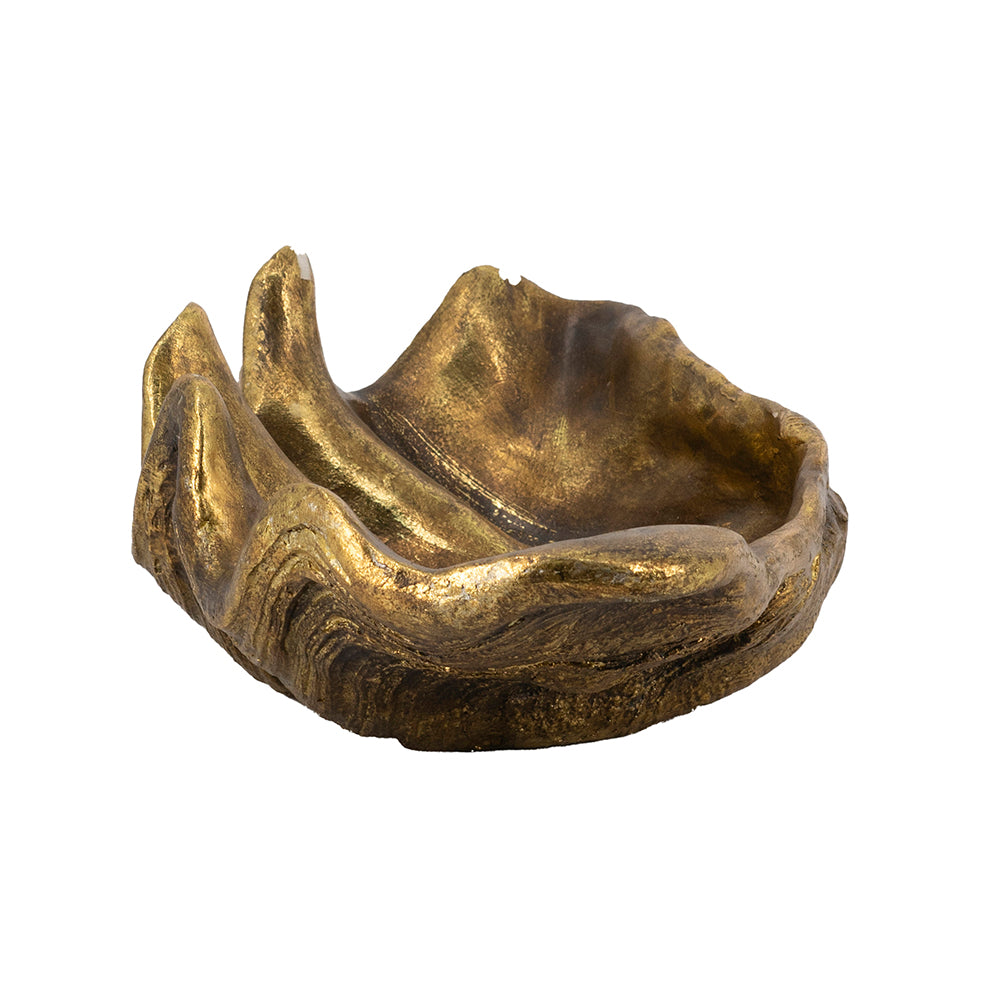 19.7" x 10.6" x 5.5" Decorative Shell Bowl