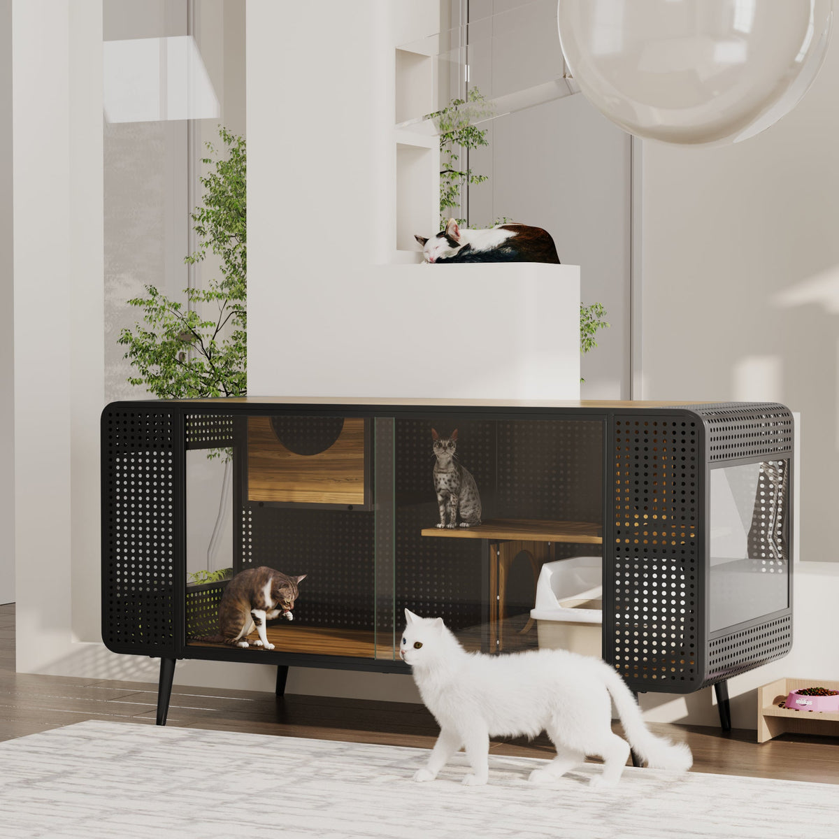 Spacious Cat House with Tempered Glass