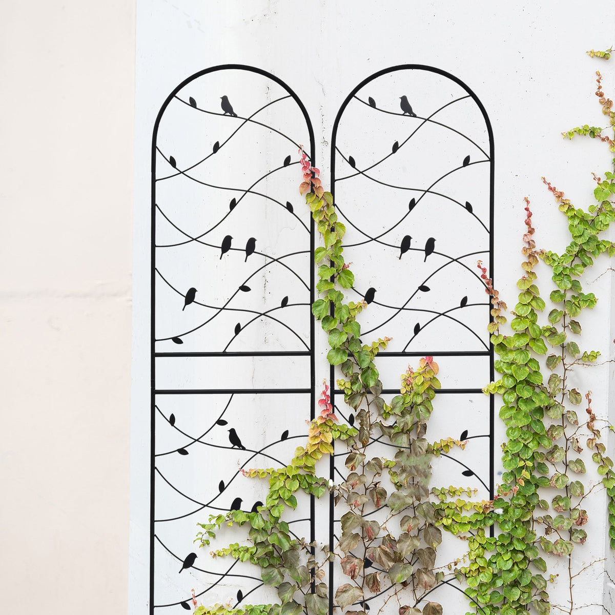 2 Pack Metal Garden Trellis 71" x 19.7"
