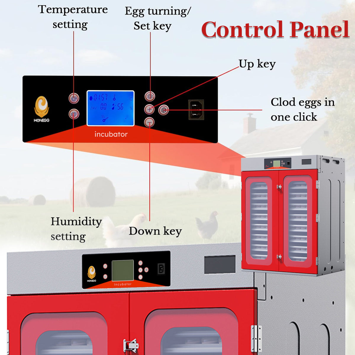 1000-Egg Commercial Cabinet Incubator