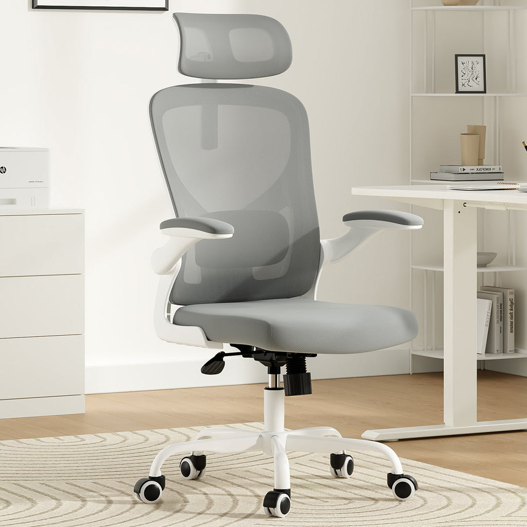 Ergonomic Office Chair for Home Office Study Room