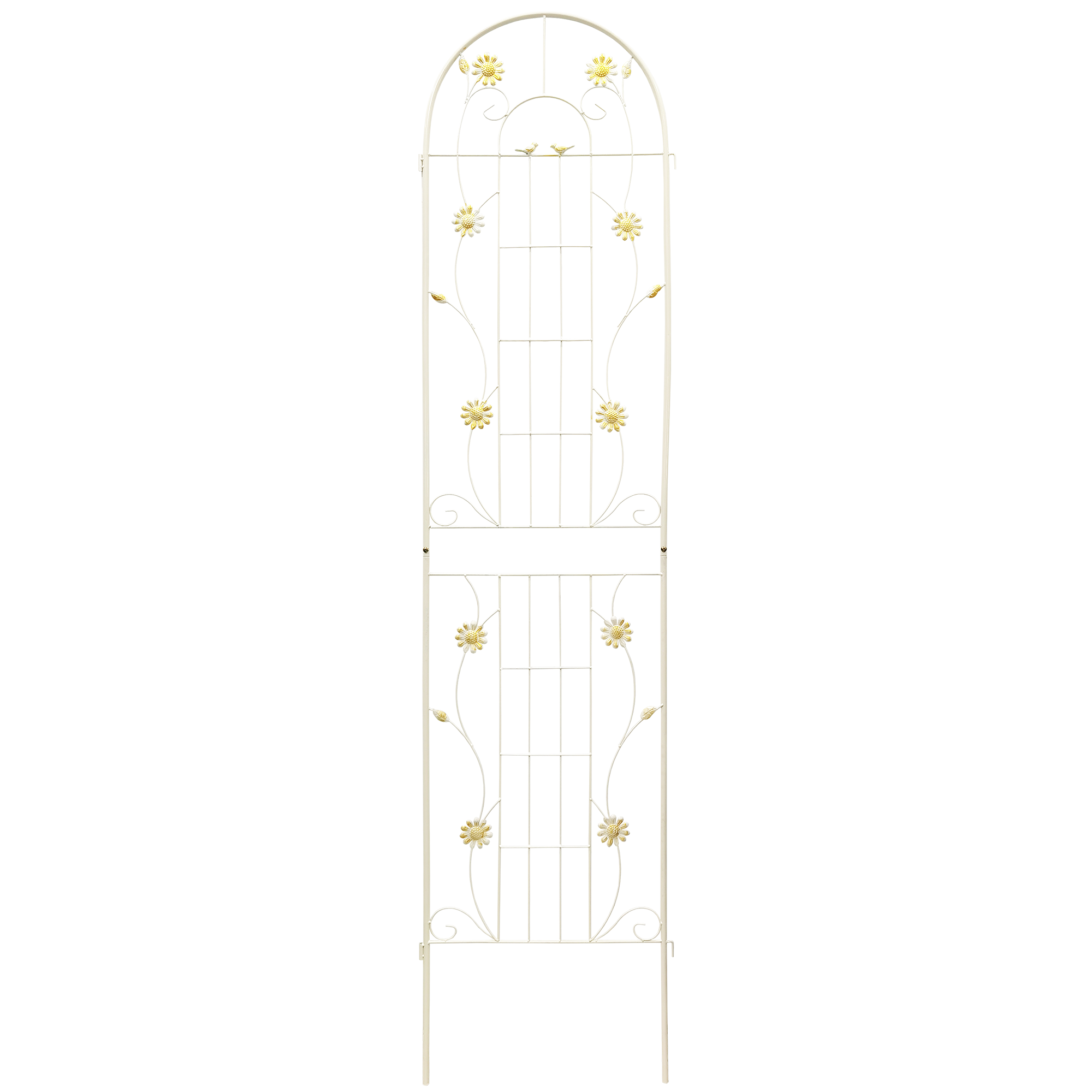 2 Pack Metal Garden Trellis for Climbing Plants