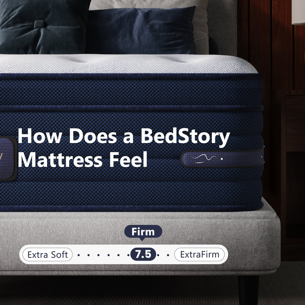 Bedstory Spine Align Pro 14" Twin Firm Mattress