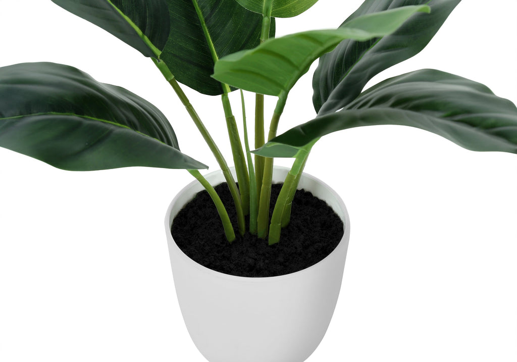 Artificial Plant - 17" Tall Aureum - Indoor Faux Greenery