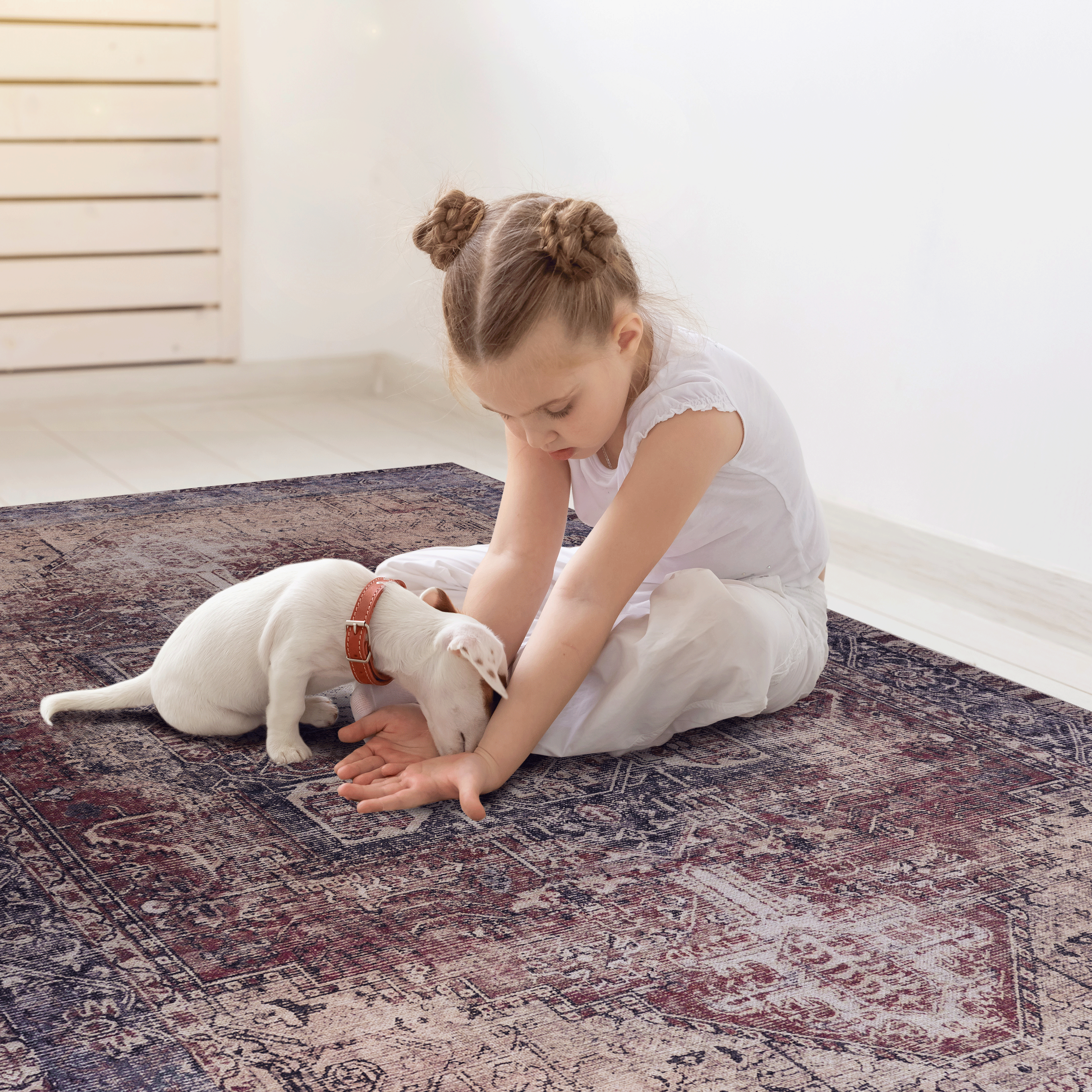 MAVAL Burgundy Washable Area Rug 4x6