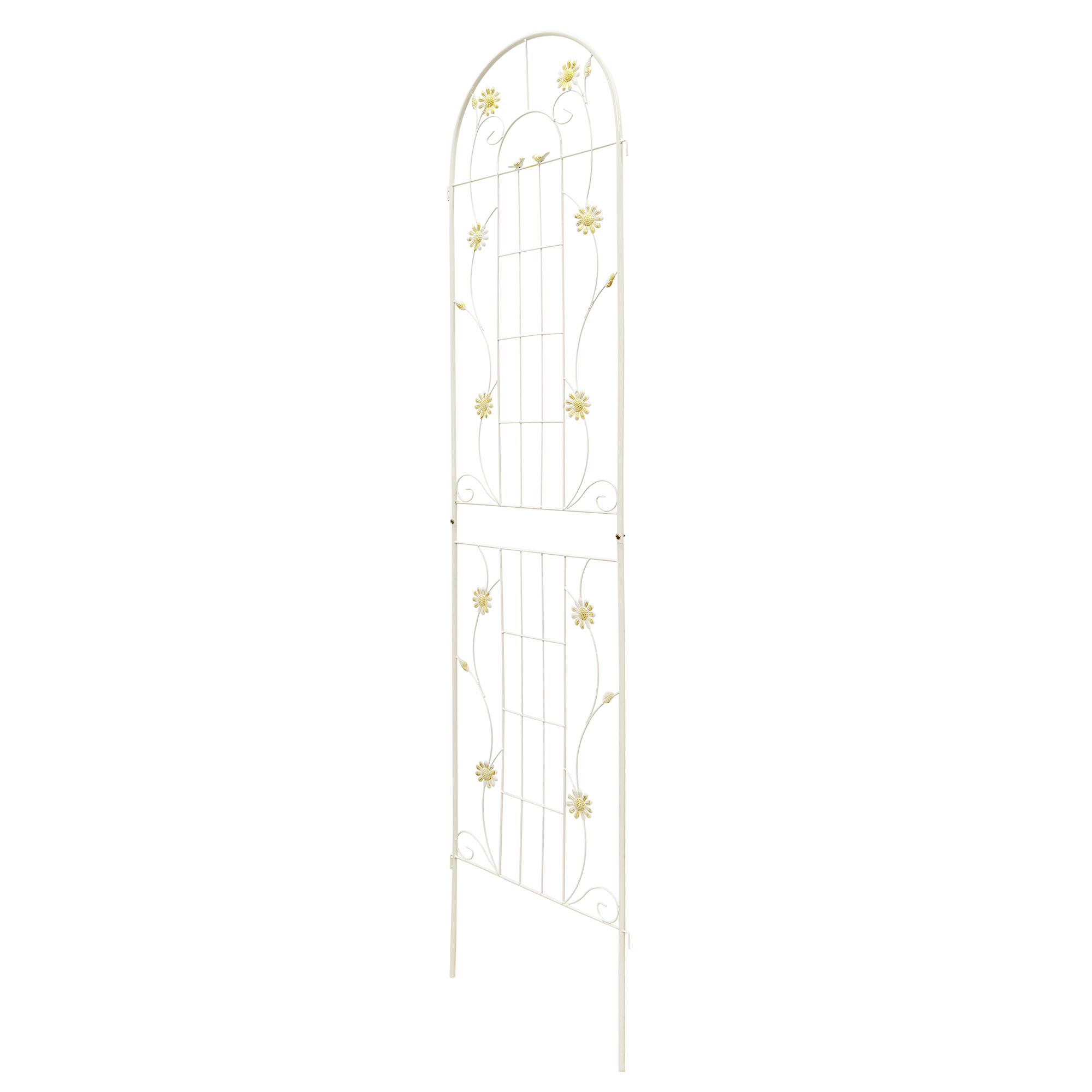 2 Pack Metal Garden Trellis for Climbing Plants