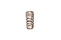 Comp Cams FORD 4.6L 2 VALVE SOHC VALVE SPRING