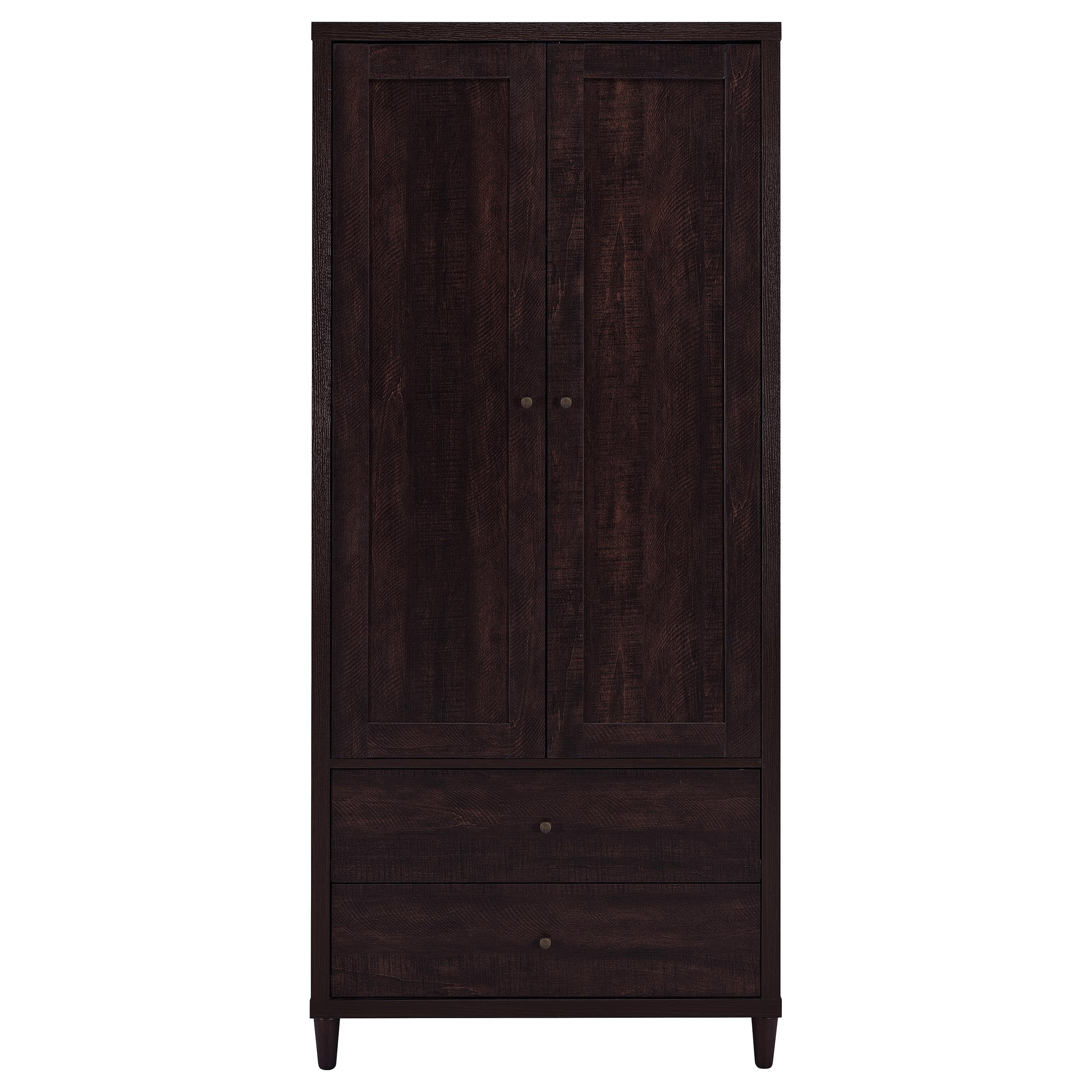 Nestor Tobacco 2-Drawer Tall Accent Cabinet with 2 Doors