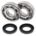 All Balls Racing 83-04 Kawasaki KX500 Crank Shaft Bearing Kit 24-1011