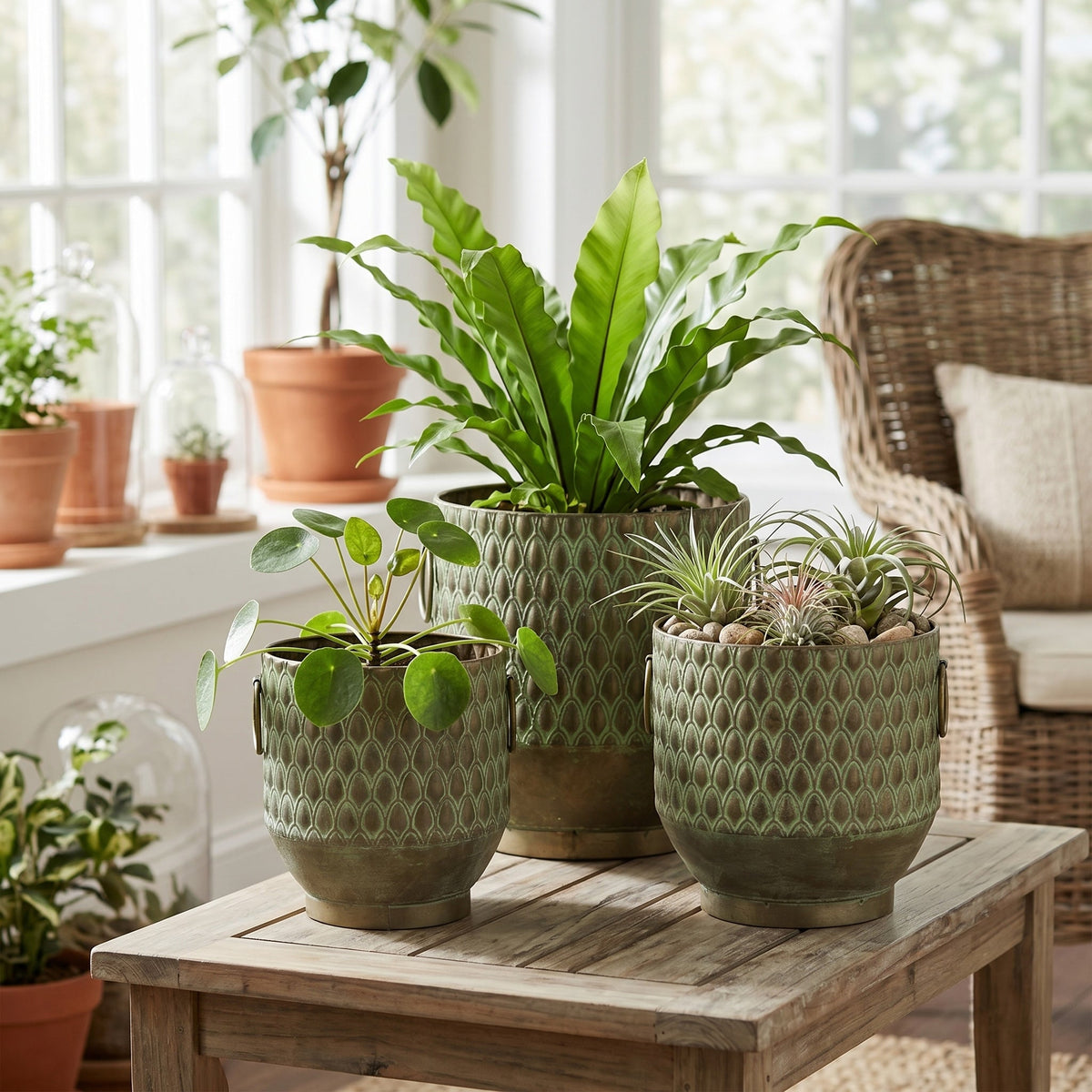S/3 Textured Garden Pots & Planters
