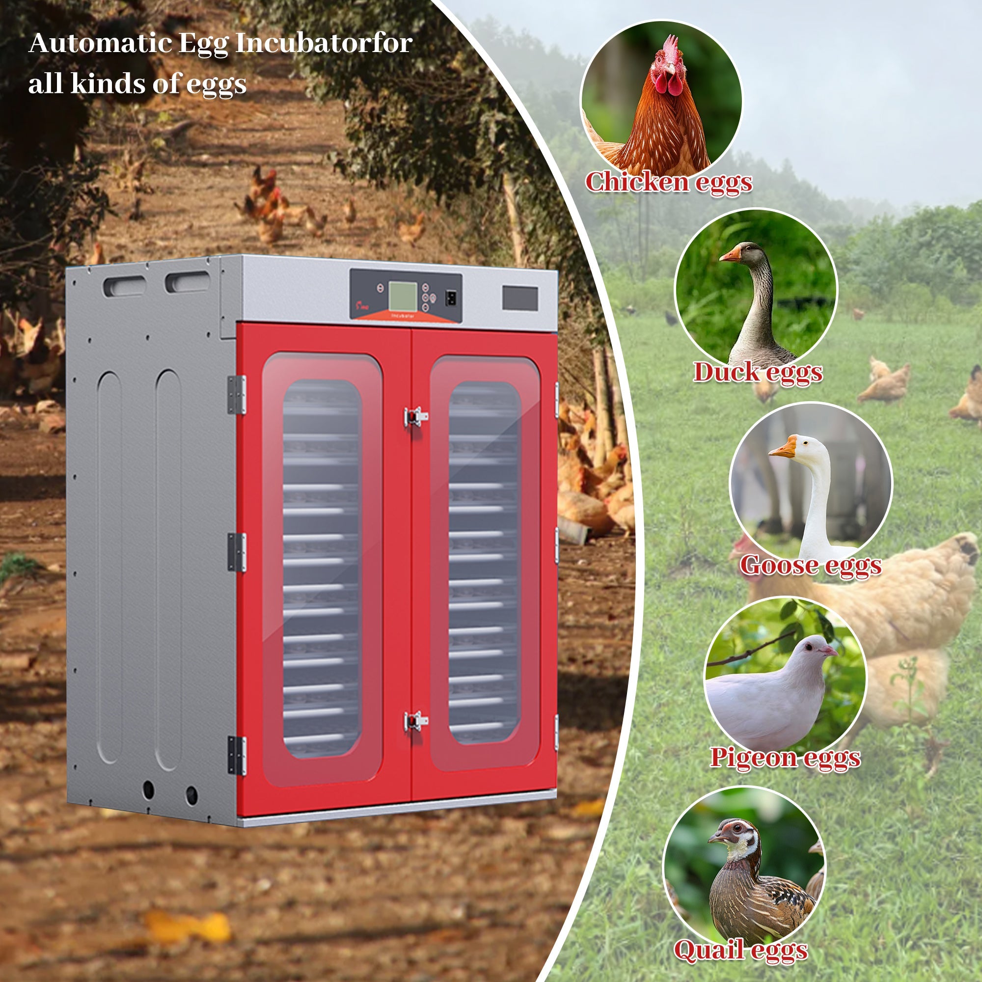 1000-Egg Commercial Cabinet Incubator