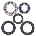 All Balls Racing 00-04 Yamaha YFM250 Beartracker Wheel Bearing Kit Rear 25-1139