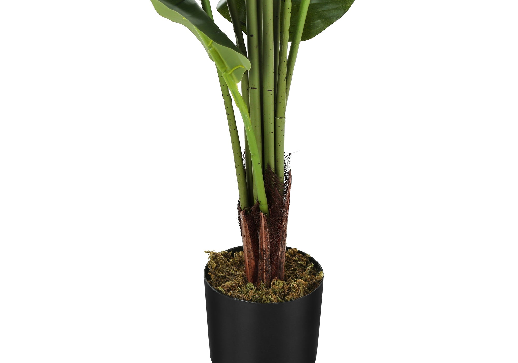 59" Tall Indoor Strelitzia Tree - Artificial Plant