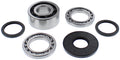 All Balls Racing 2020 Polaris RZR Turbo Pro XP Differential Bearing & Seal Kit Front 25-2115