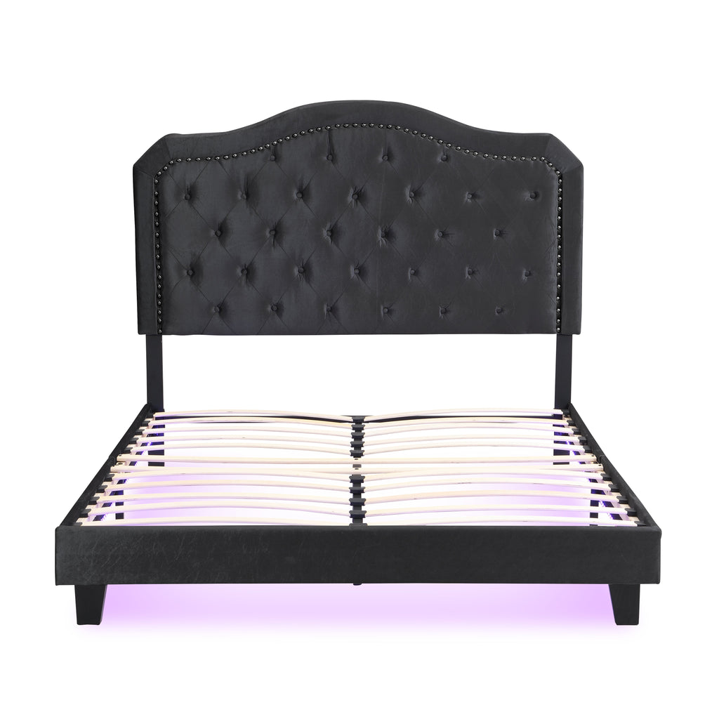 Upholstered Bed Button Tufted with Curve Design