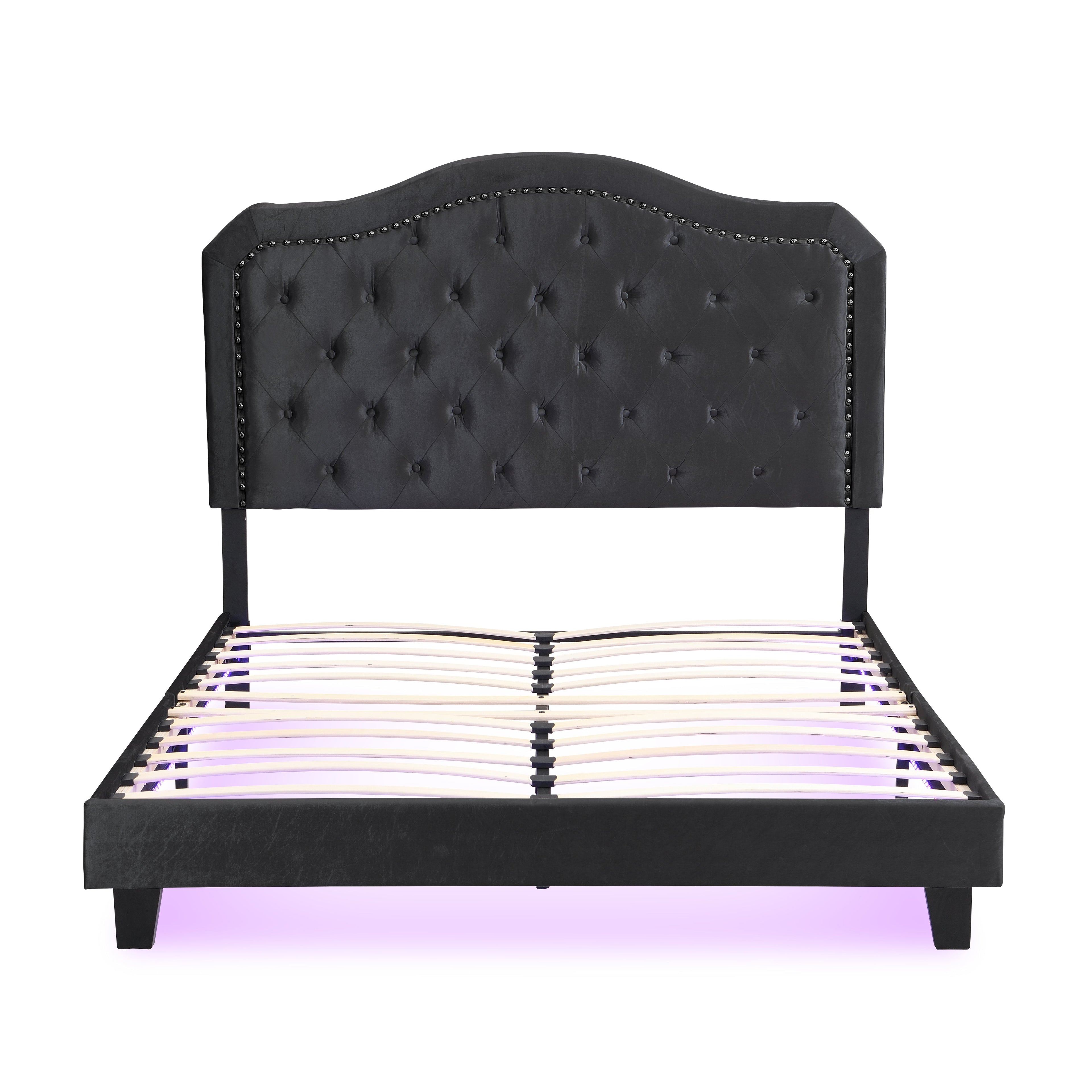 Upholstered Bed Button Tufted with Curve Design