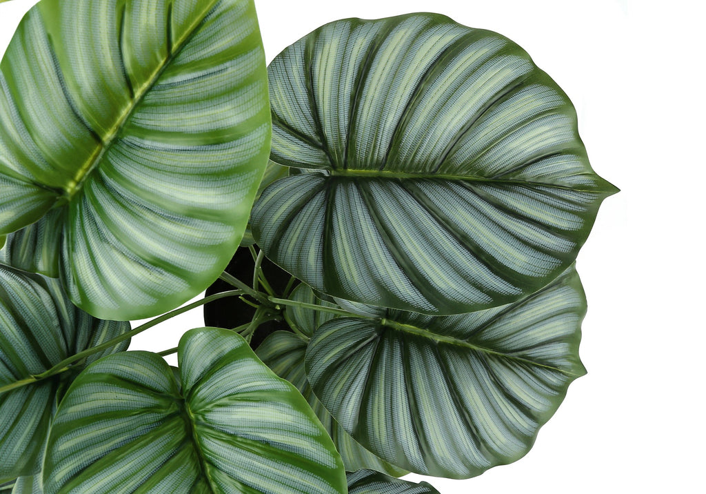 Artificial 24" Tall Calathea Plant
