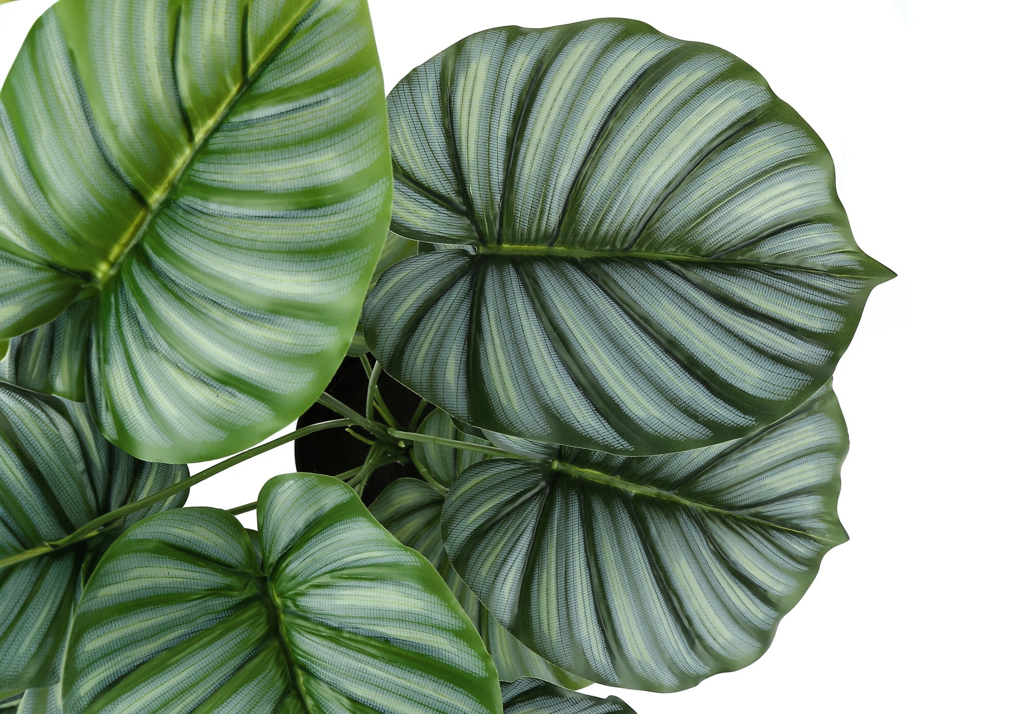 Artificial 24" Tall Calathea Plant