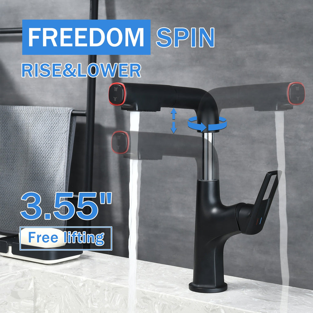 Matte Black Bathroom Sink Faucet