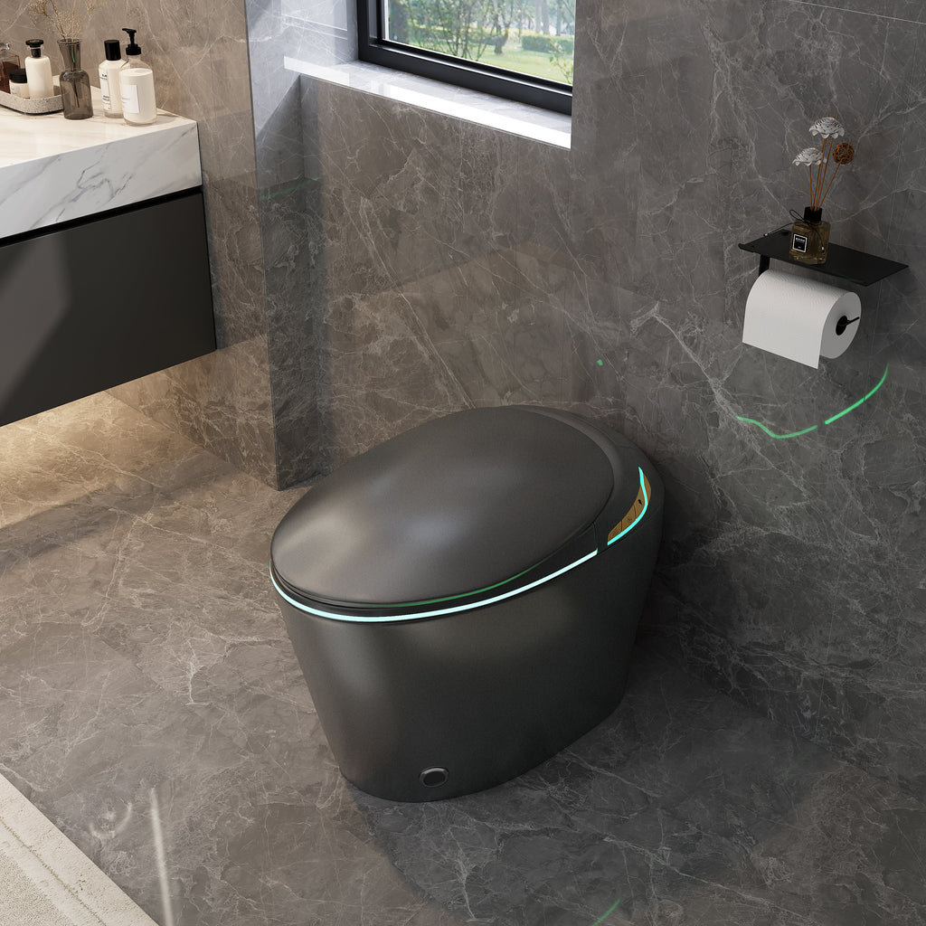 Unique Smart Toilet with Built-in Bidet