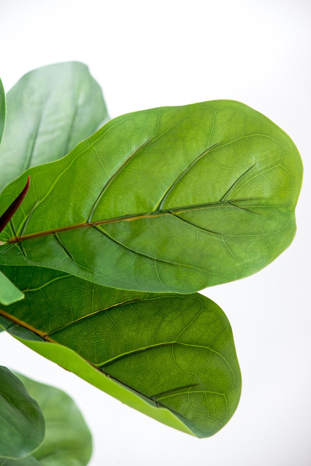 25x25x52"H Fiddle Fig Leaf Tree, 40 Leaves