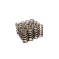Comp Cams Beehive Valve Springs for H/L Ford 2V