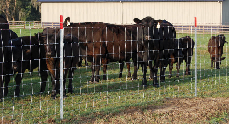Farm Fence 4ft x 328ft 14 Gauge Heavy Zinc Coating