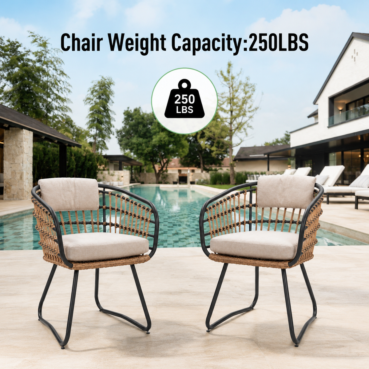 Outdoor Wicker Dining Chairs Set of 2, Patio Dining Chairs with Cushions