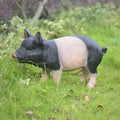 Garden Pig Statues Outdoor Decor